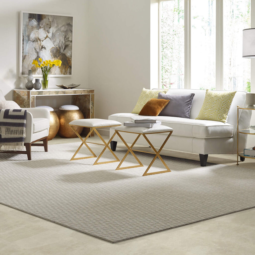 Living Room Area Rug | Howmar Carpet Inc.