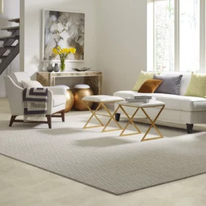 Living Room Area Rug | Howmar Carpet