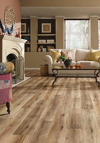 Lavish living room interior | Howmar Carpet Inc